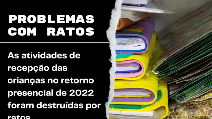 A caótica situação da educação em São Carlos